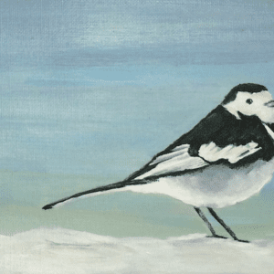 Pied Wagtail in the Snow painting of sale