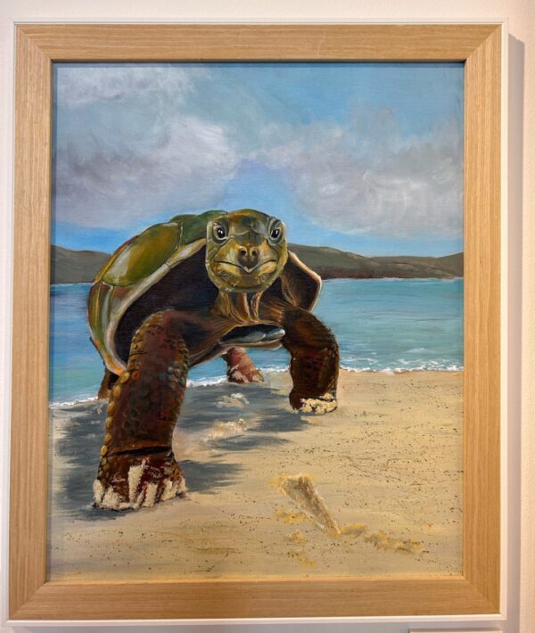 Tortoise on the beach framed painting by Paula Jobson