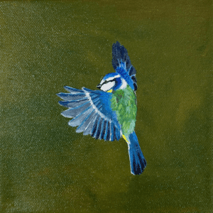 Original artwork by Paula Jobson of a blue tit in flight balancing on the wing as coming in for a tricky landing requiring poise and patience