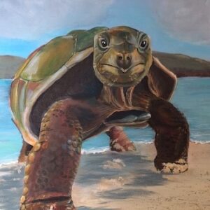 Artwork by Paula Jobson of colourful tortoise at the beach